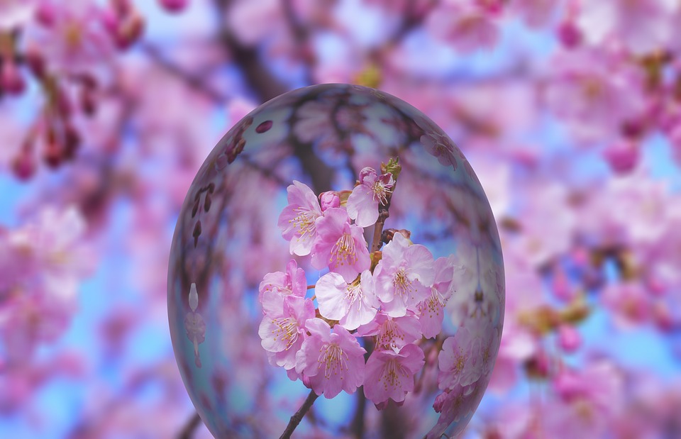 easter_2204277_960_720.jpg